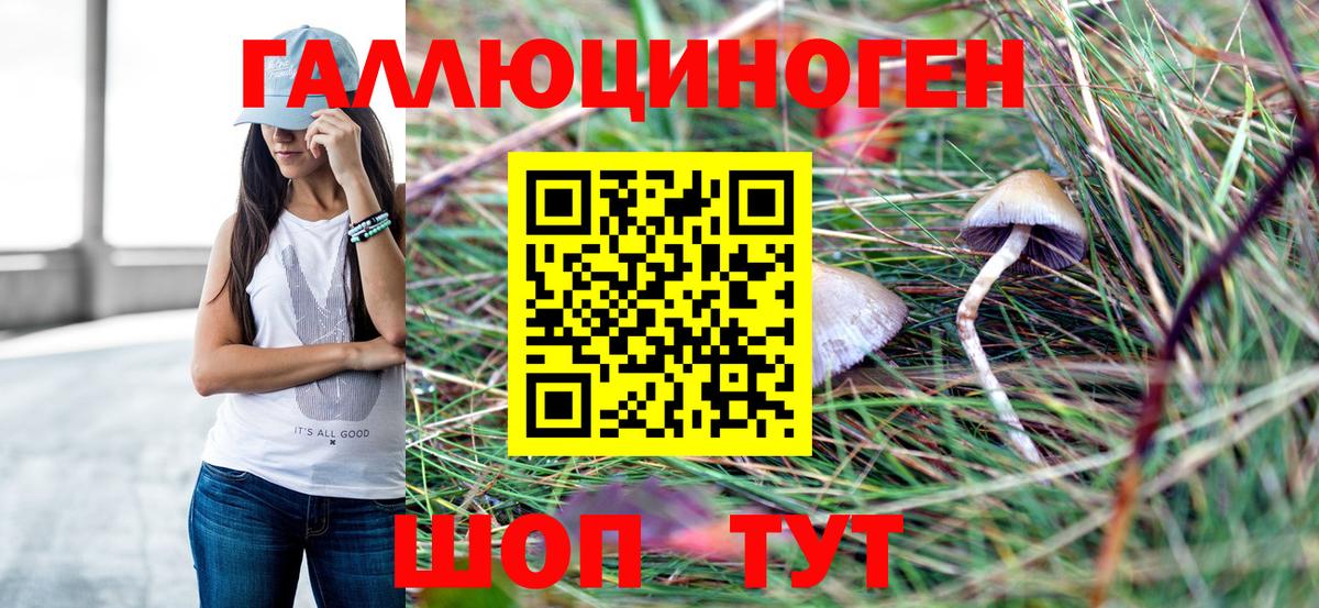 Галлюциногенные грибы Magic Shrooms  Галлюциногенные грибы мицелий  Апрелевка  Вход с VPN 